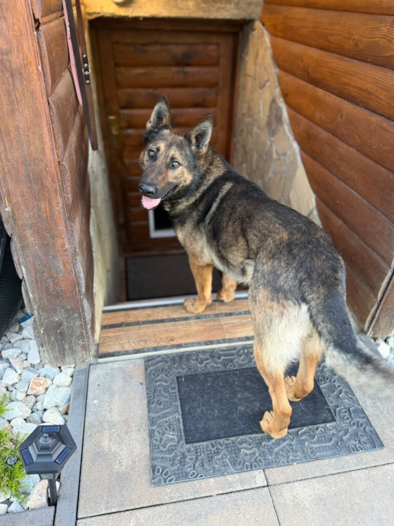 Leon
