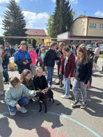 Deň Zeme- IV.ZŠ Bardejov