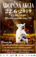 Adopčná akcia 2019