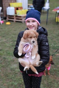 centrum zachránených zvierat
