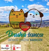 Jarné čistenie lesov