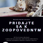 pridajte sa k spoľahlivým, kastrujte