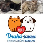 pridajte sa k spoľahlivým, kastrujte