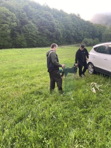 Centrum pre zachránené zvieratá