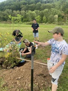 Centrum pre zachránené zvieratá