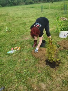 Centrum pre zachránené zvieratá