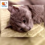 Pridajte sa k zodpovedným