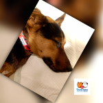 osada Poštárka, matka Hraška