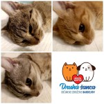 Pridajte sa k zodpovedným