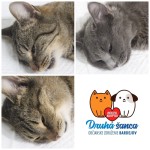 Pridajte sa k zodpovedným a Senior akcia