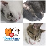 pridajte sa k zodpovedným