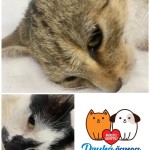 Pridajte sa k zodpovedným