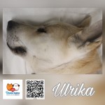 Ulrika- osada Poštárka