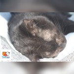 Pridajte sa k zodpovedným