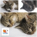 Pridajte sa k zodpovedným