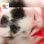 Pridajte sa k zodpovedným