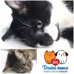 Seniori a Pridajte sa k zodpovedným