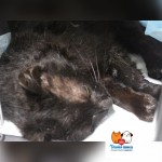 Pridajte sa k zodpovedným