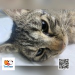 Pridajte sa k zodpovedným