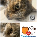 Pridajte sa k zodpovedným, odchyt