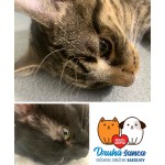 Pridajte sa k zodpovedným