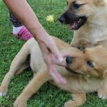 Kari a Tobias Kari a Tobias