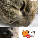 odcyt a pridajte sa k zodpovedným