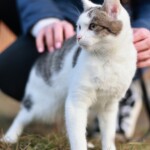 Kurt
