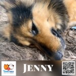 Jenny
