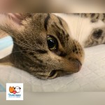 Pridajte sa k zodpovedným