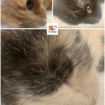 Pridajte sa k zodpovedným