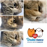 Pridajte sa k zodpovedným- program OZ