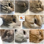 Pridajte sa k zodpovedným- program OZ