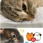 Pridajte sa k zodpovedným