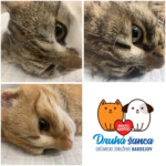 Náš program "Pridajte sa k zodpovedným"