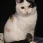 Matilda