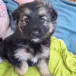 Berka