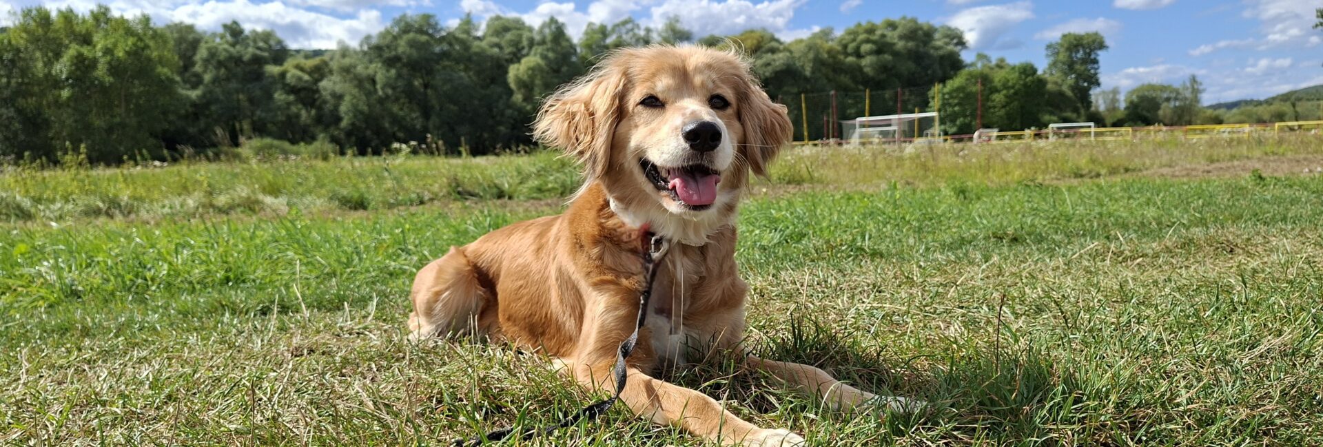 Penny